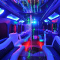 Why A Party Bus Limo Is The Perfect Ride For Your Wedding Day