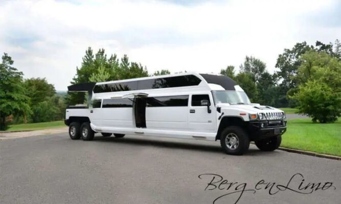 Best Party Bus Rental Services