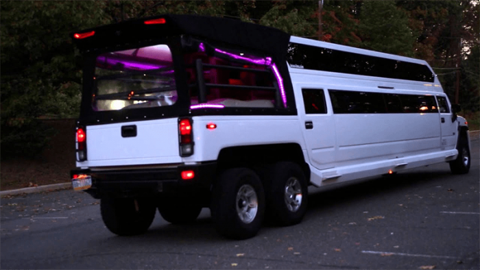 best party bus rental services 